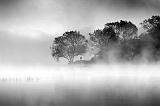 Morning Mist_29203